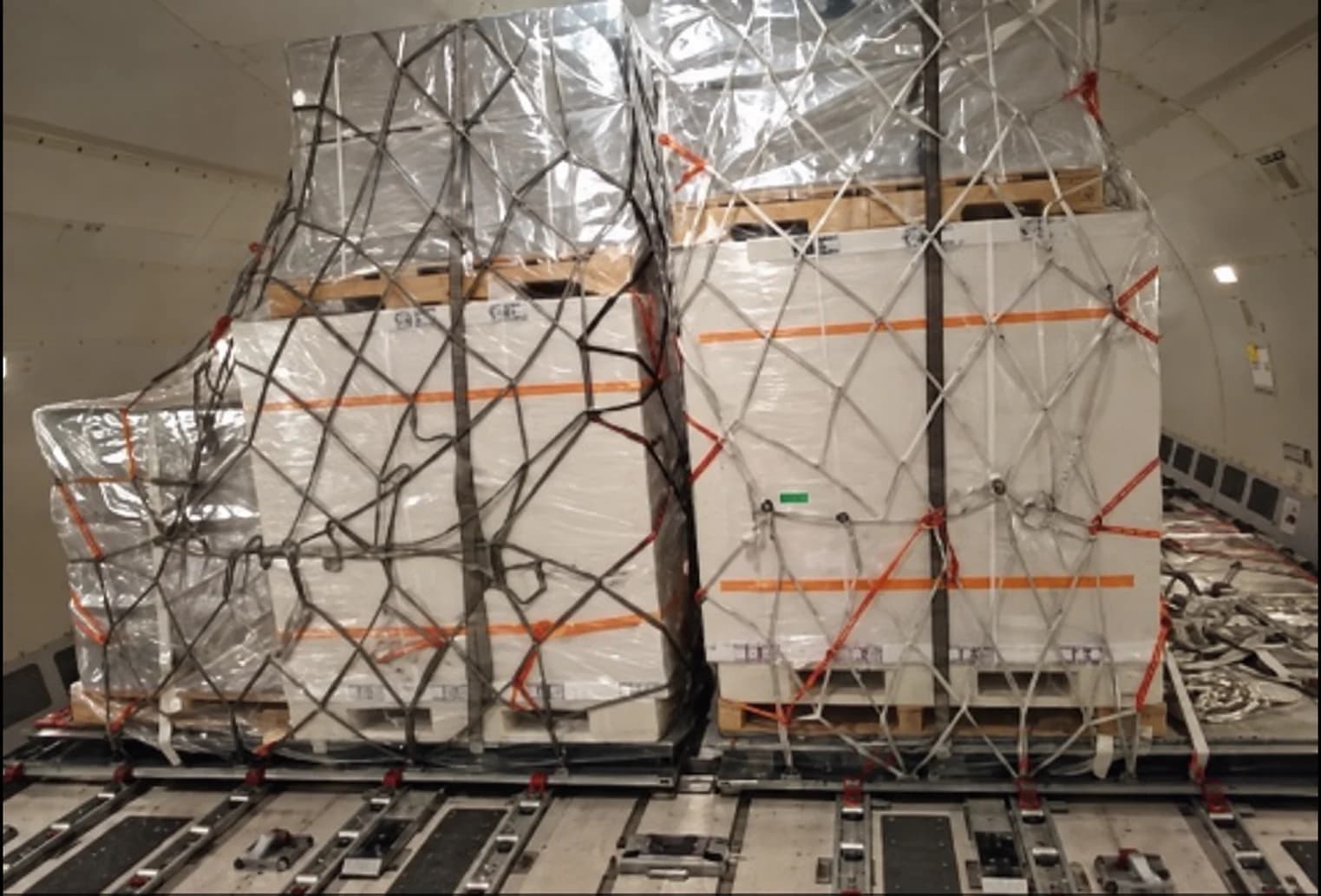 Protected cargo pallet